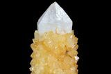 Sunshine Cactus Quartz Crystal Cluster - South Africa #80194-1